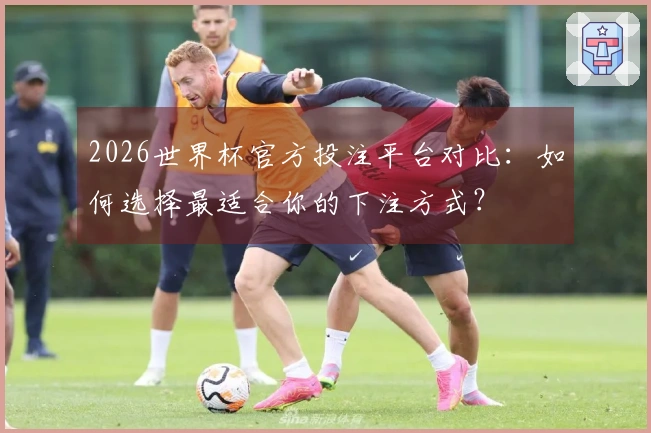 2026世界杯官方投注平台对比：如何选择最适合你的下注方式？