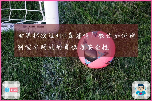 世界杯投注app靠谱吗？教你如何辨别官方网站的真伪与安全性