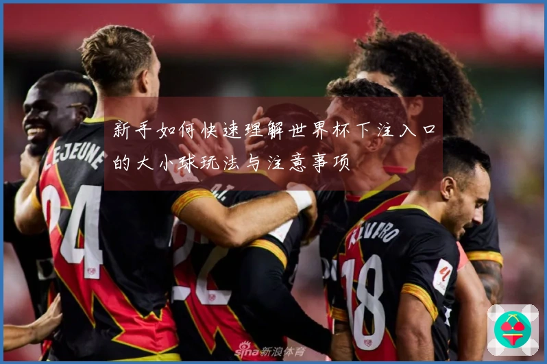 新手如何快速理解世界杯下注入口的大小球玩法与注意事项