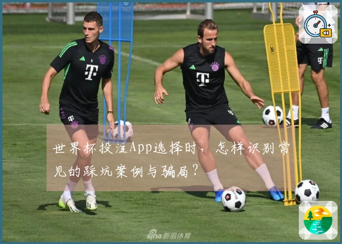 世界杯投注App选择时,怎样识别常见的踩坑案例与骗局?