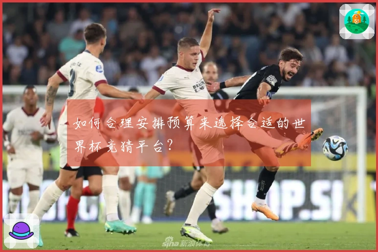 如何合理安排预算来选择合适的世界杯竞猜平台？