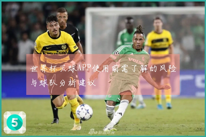 世界杯买球APP使用前需了解的风险与球队分析建议