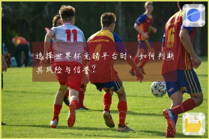 选择世界杯竞猜平台时，如何判断其风险与信誉？