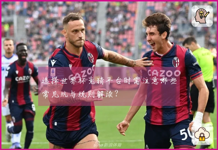 选择世界杯竞猜平台时需注意哪些常见坑与规则解读？