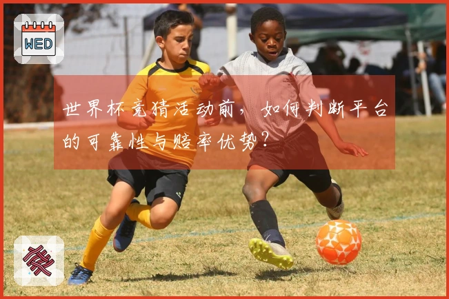 世界杯竞猜活动前，如何判断平台的可靠性与赔率优势？