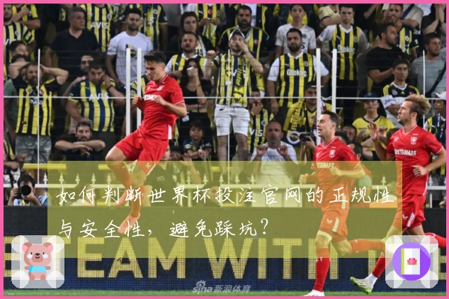 如何判断世界杯投注官网的正规性与安全性，避免踩坑？