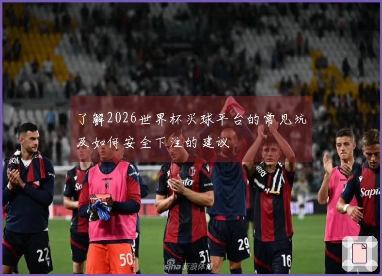 了解2026世界杯买球平台的常见坑及如何安全下注的建议