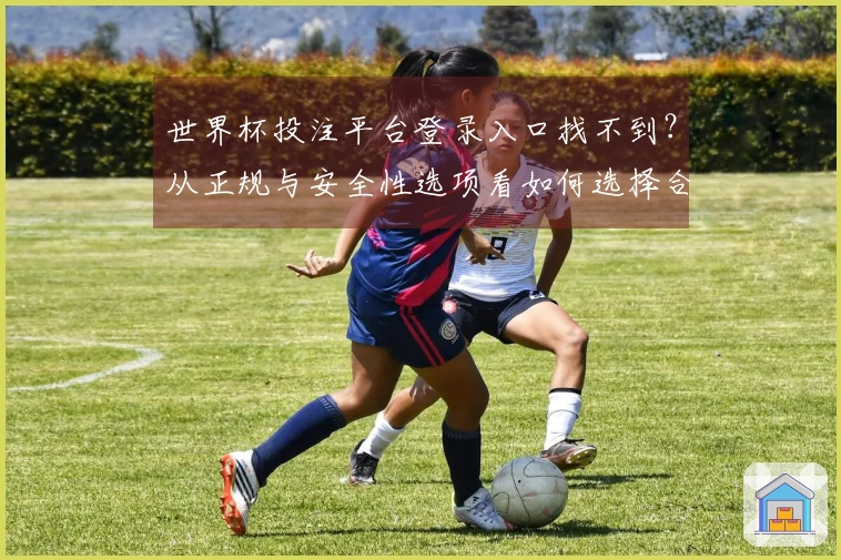 世界杯投注平台登录入口找不到？从正规与安全性选项看如何选择合适的平台