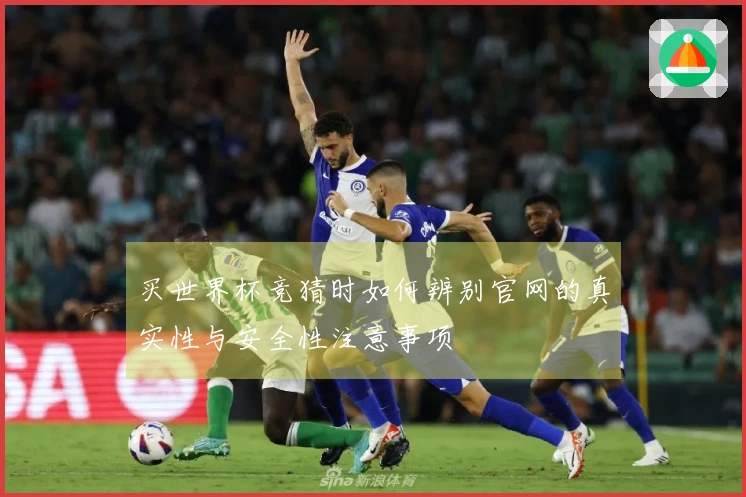 买世界杯竞猜时如何辨别官网的真实性与安全性注意事项