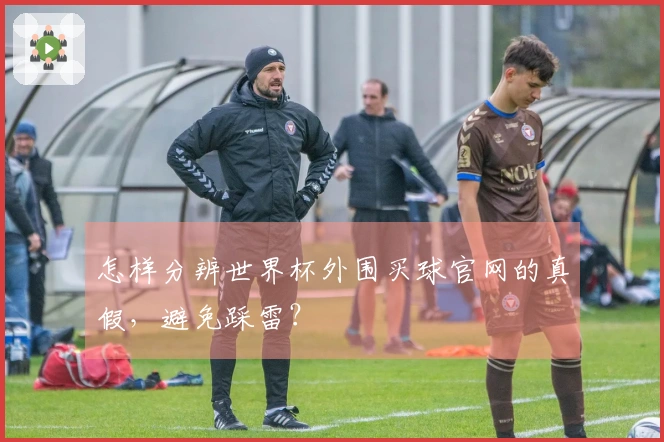 怎样分辨世界杯外围买球官网的真假，避免踩雷？