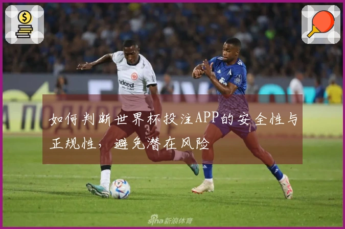 如何判断世界杯投注APP的安全性与正规性,避免潜在风险