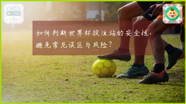 如何判断世界杯投注站的安全性，避免常见误区与风险？