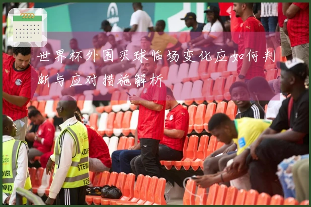 世界杯外围买球临场变化应如何判断与应对措施解析