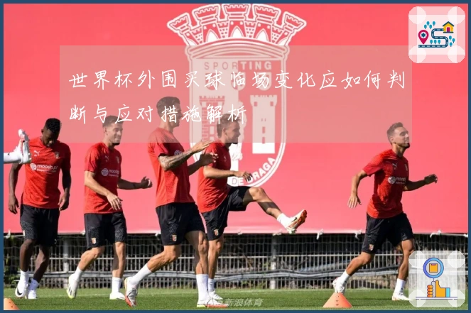 世界杯外围买球临场变化应如何判断与应对措施解析
