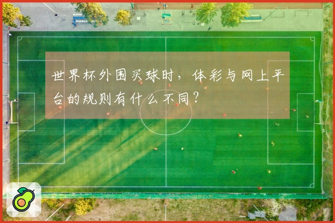 世界杯外围买球时，体彩与网上平台的规则有什么不同？