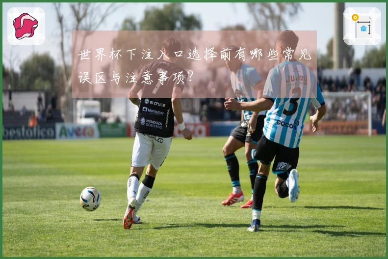 世界杯下注入口选择前有哪些常见误区与注意事项？