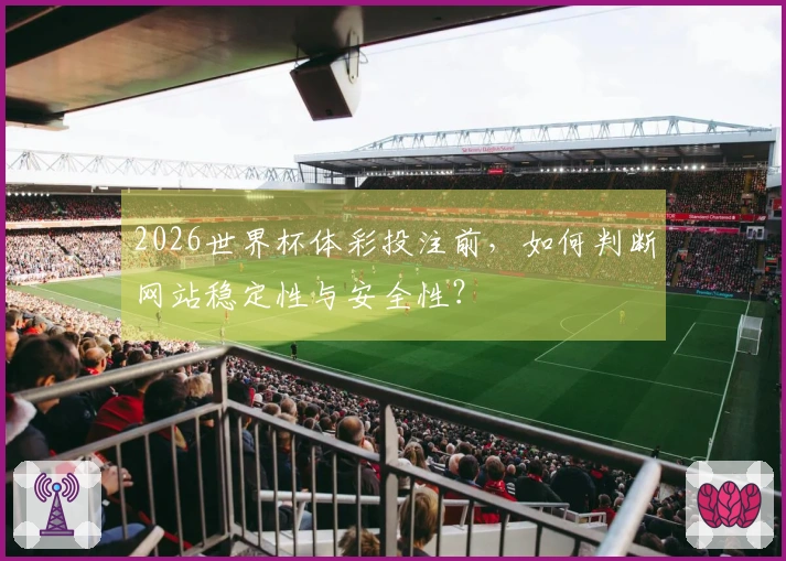2026世界杯体彩投注前，如何判断网站稳定性与安全性？