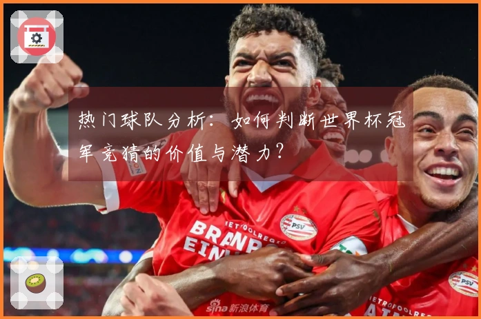 热门球队分析:如何判断世界杯冠军竞猜的价值与潜力?