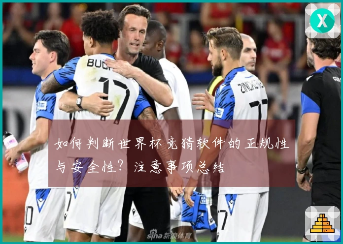 如何判断世界杯竞猜软件的正规性与安全性？注意事项总结