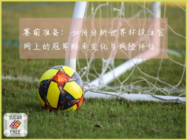 赛前准备：如何分析世界杯投注官网上的冠军赔率变化与风险评估