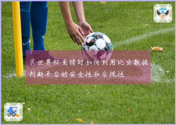 买世界杯竞猜时如何利用比分数据判断平台的安全性和合规性