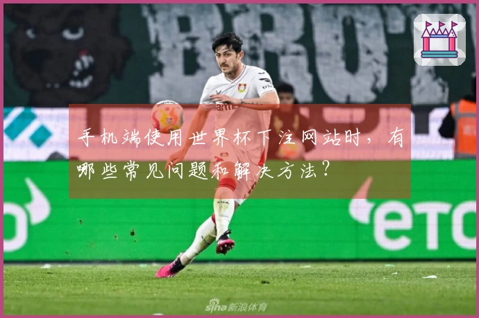 手机端使用世界杯下注网站时，有哪些常见问题和解决方法？