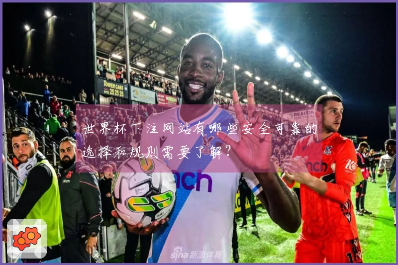 世界杯下注网站有哪些安全可靠的选择和规则需要了解？
