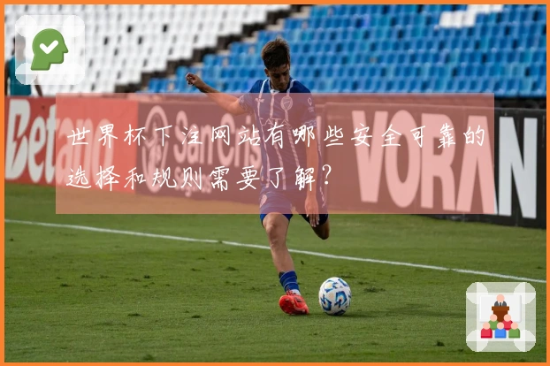 世界杯下注网站有哪些安全可靠的选择和规则需要了解？