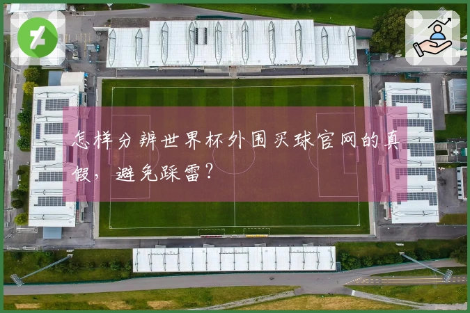 怎样分辨世界杯外围买球官网的真假，避免踩雷？
