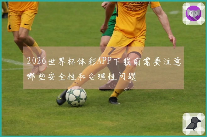 2026世界杯体彩APP下载前需要注意哪些安全性和合理性问题