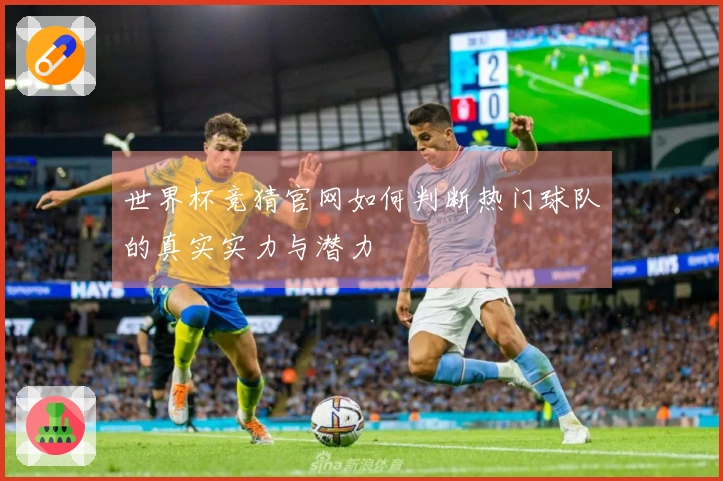 世界杯竞猜官网如何判断热门球队的真实实力与潜力